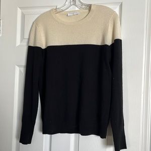 Everlane Colorblock Cashmere Crewneck Sweater